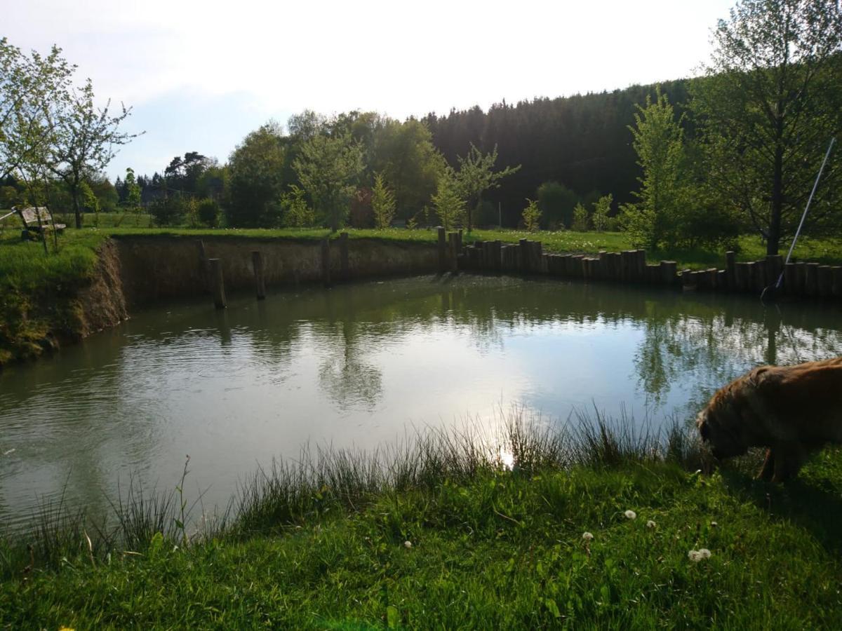 Ferienwohnung Hohe Acht Kaltenborn  Экстерьер фото